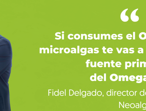 Fidel Delgado, Co-CEO y director de I+D+i de Neoalgae: “Las microalgas son la fuente de Omega 3 más primaria y sostenible que existe”